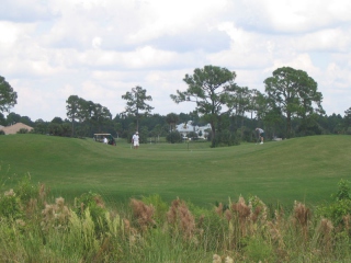 BC 11th