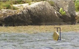 The Gong Shot