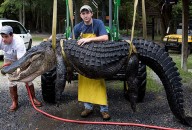 Gator Clearing